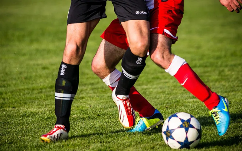 鲸鱼体育
