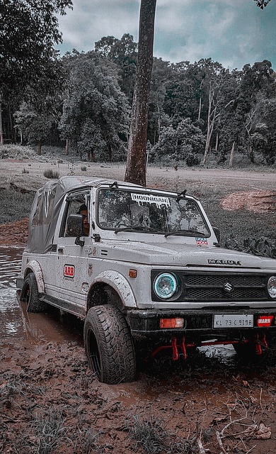 整体水平 整体水平