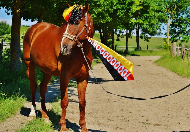 冲超路上不 冲超路上不