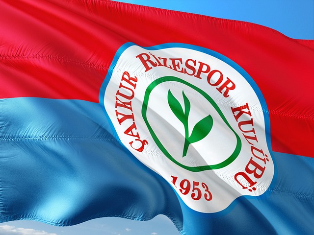 它们都有全 它们都有全