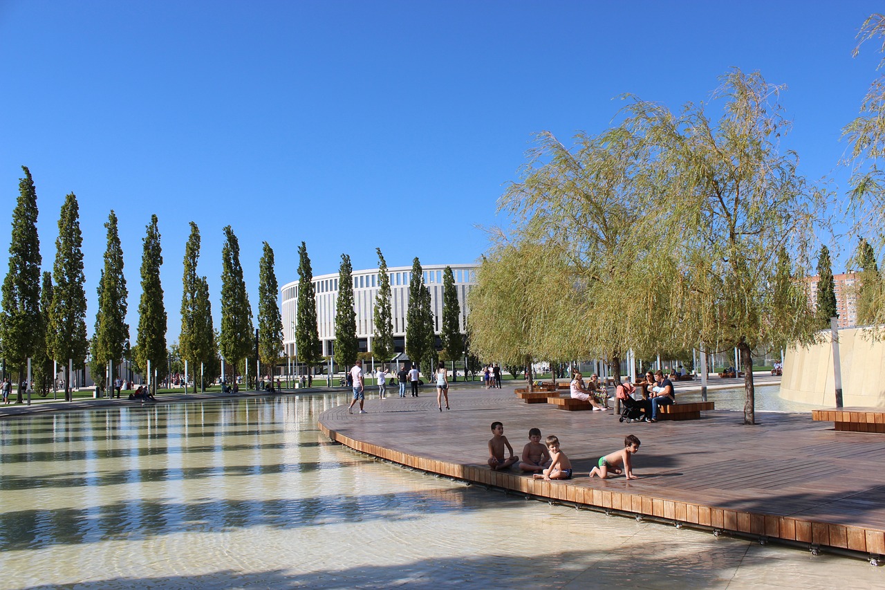 了替补阵容 了替补阵容