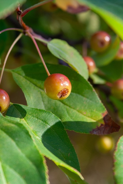 术和训练体 术和训练体