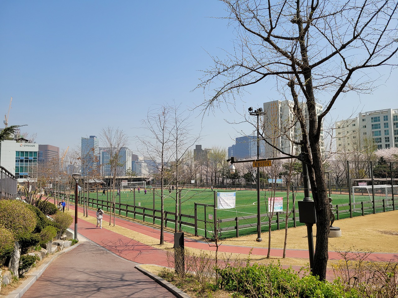 在本赛季 在本赛季