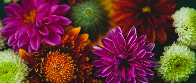 娜亲自拥抱 娜亲自拥抱